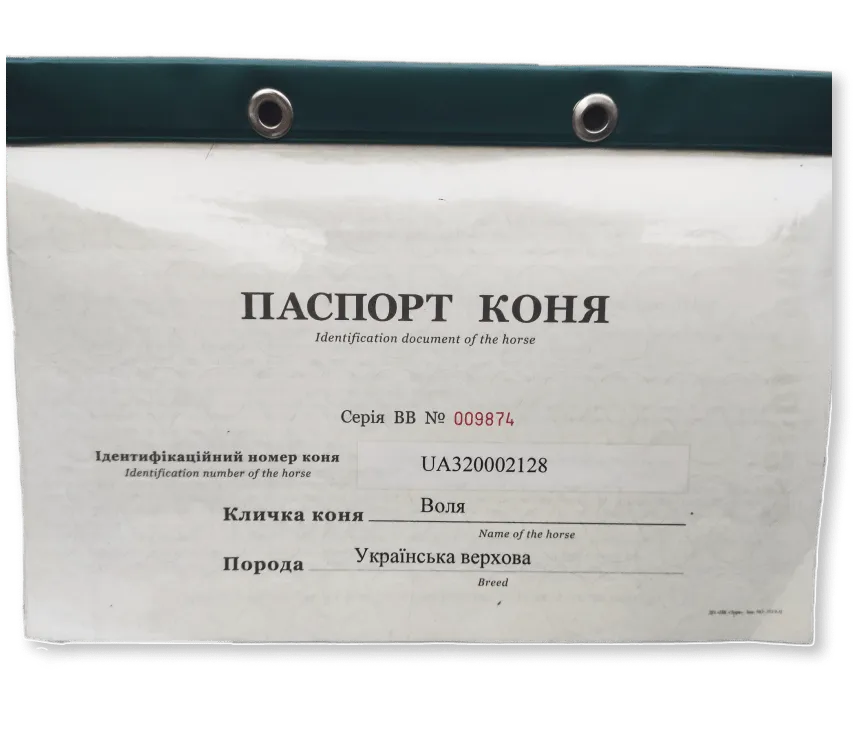 picture of horse passport