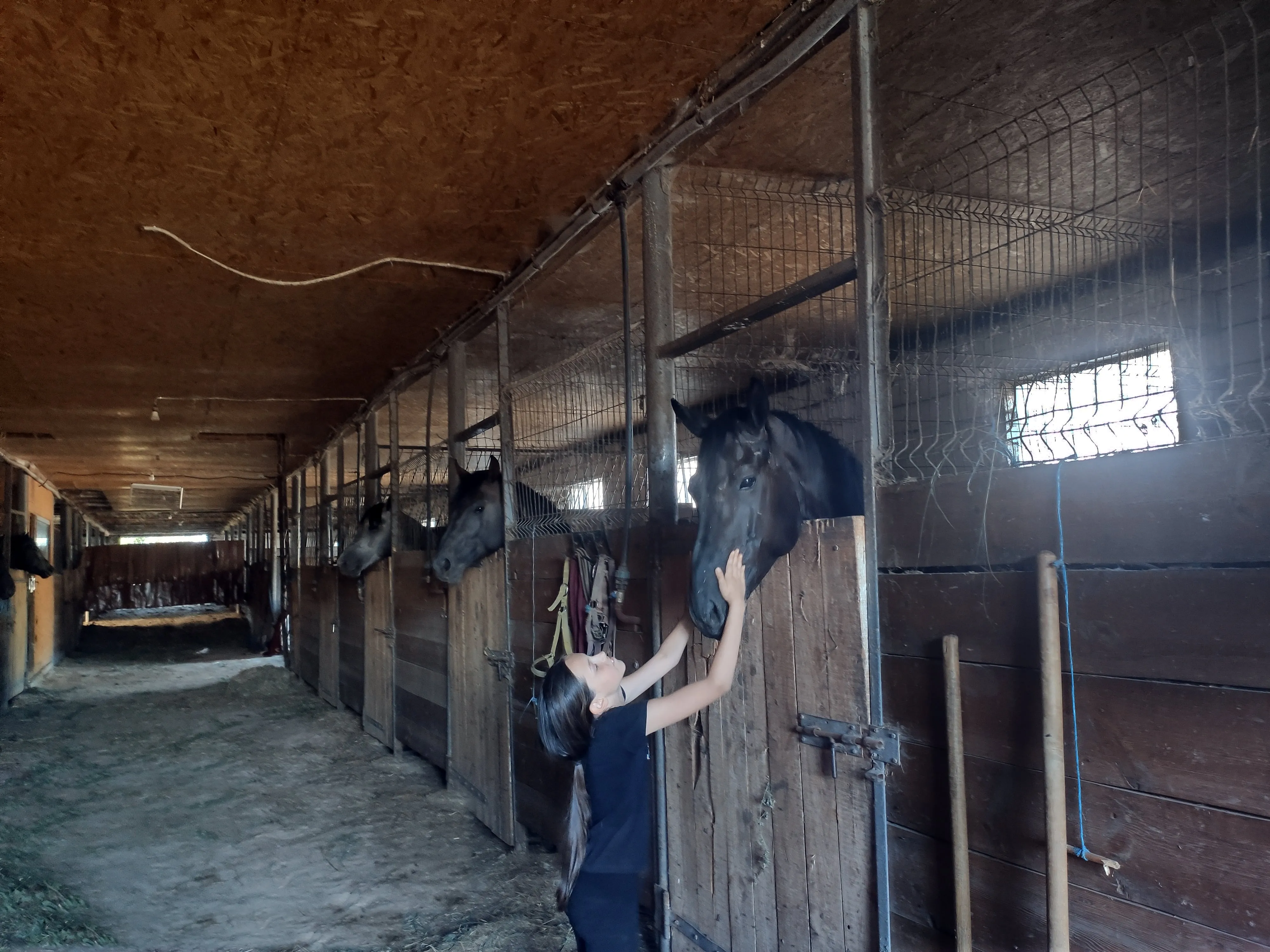 stable