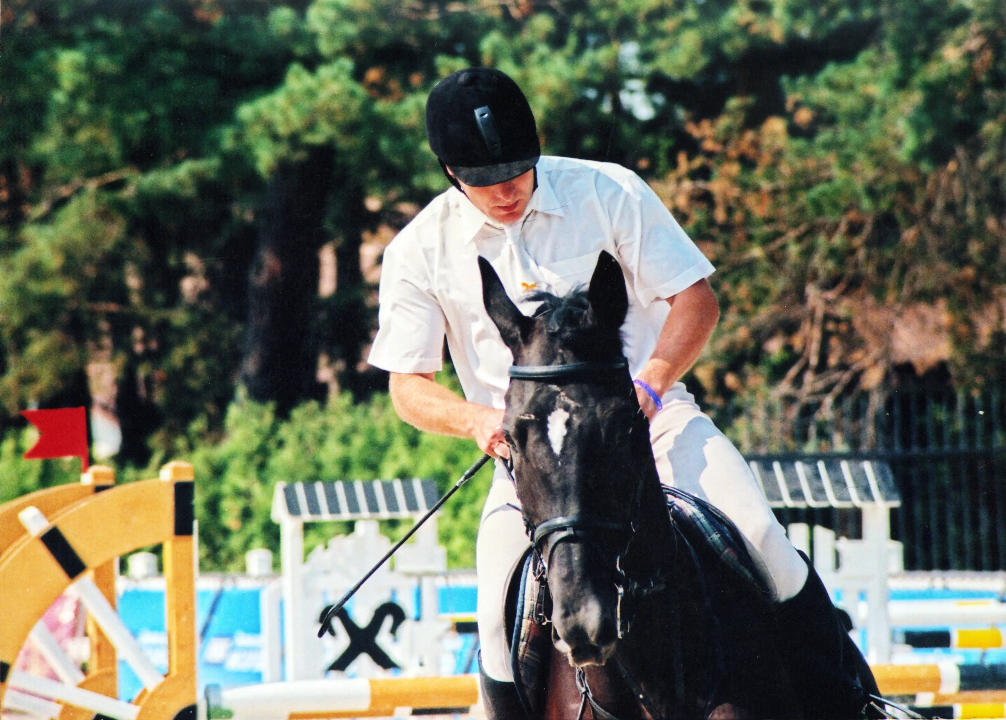 horse