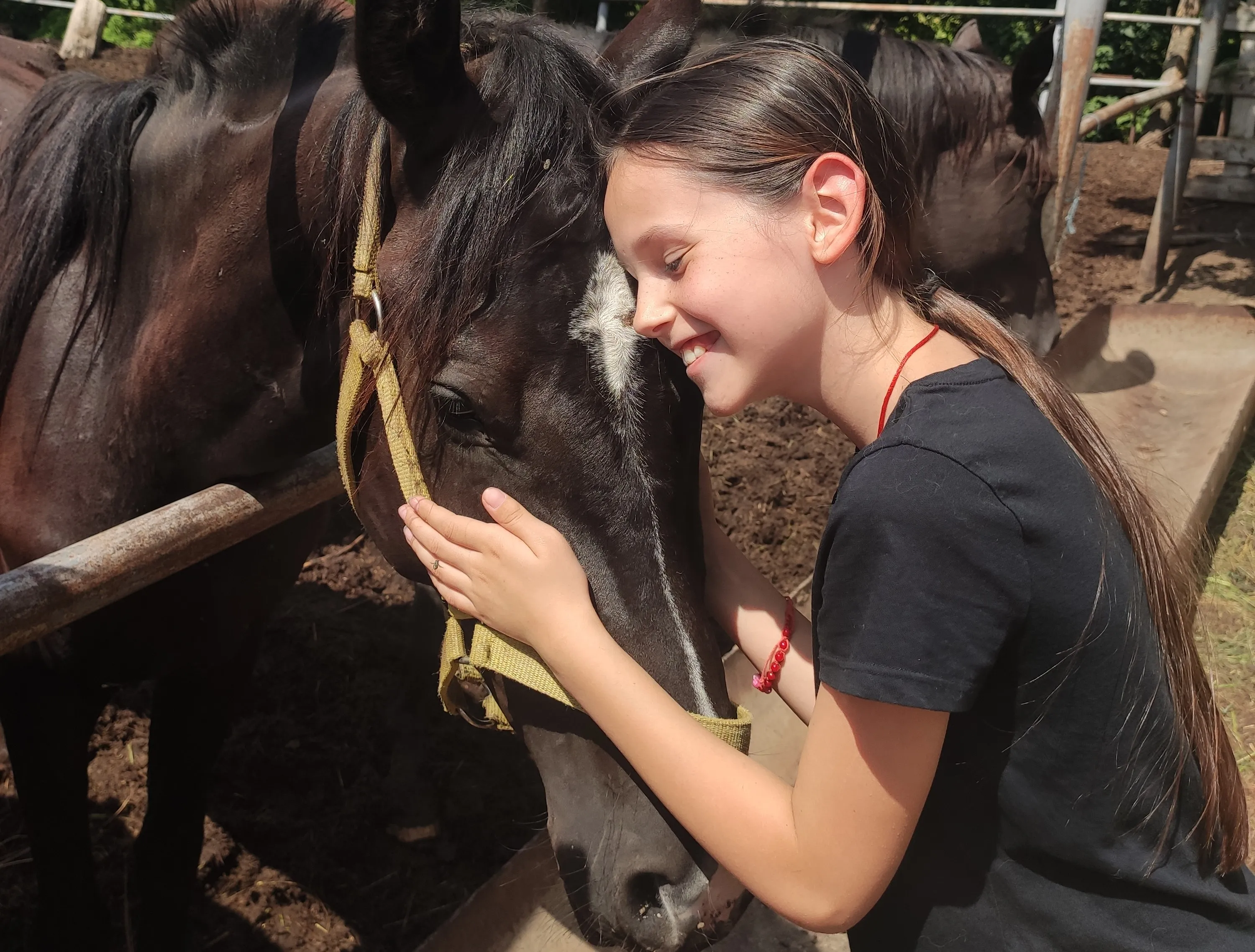 beautiful girl love horse